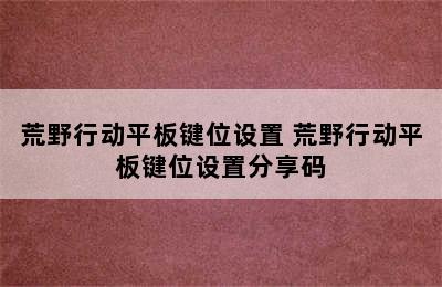 荒野行动平板键位设置 荒野行动平板键位设置分享码